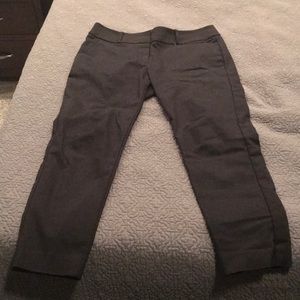 Loft Dress Pants